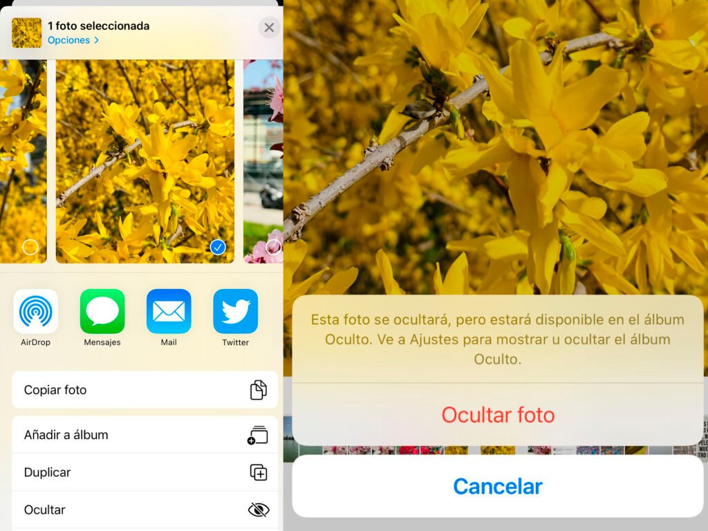 Ocultar fotos de la galería de iPhone