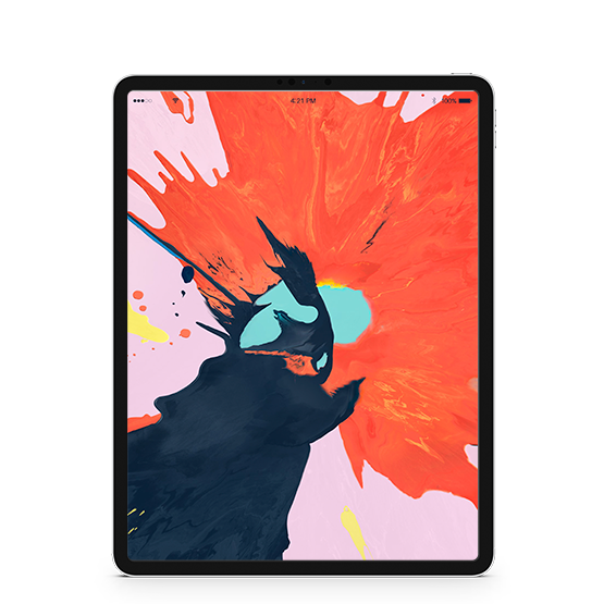 iPad Pro 12,9 3gen - MAE Recovery